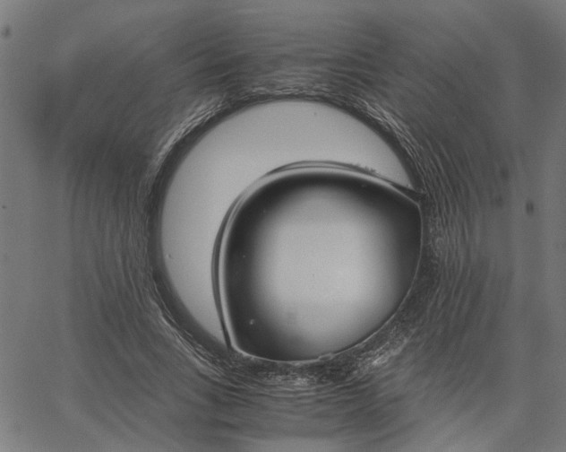 X0000065240735200603031738