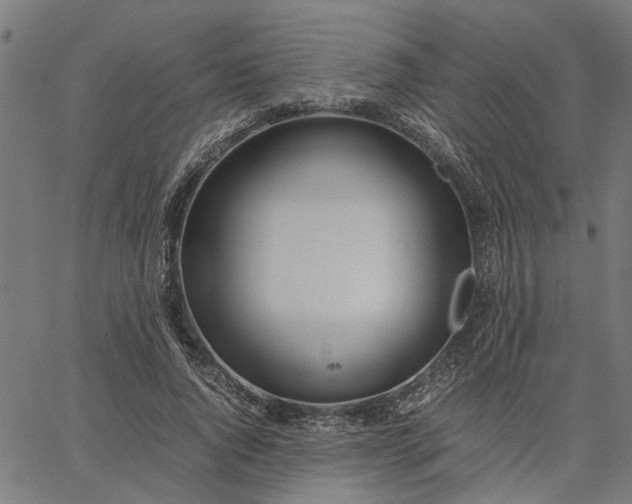 X0000065240736200603031738