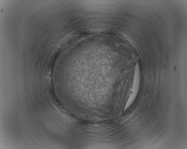 X0000065240737200603031738