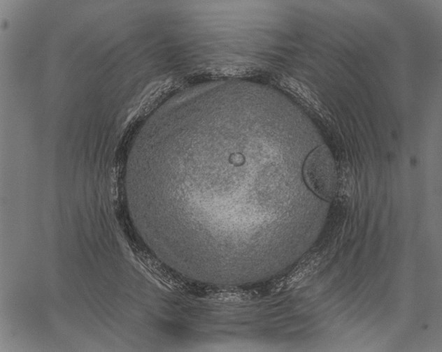 X0000065240738200603031738