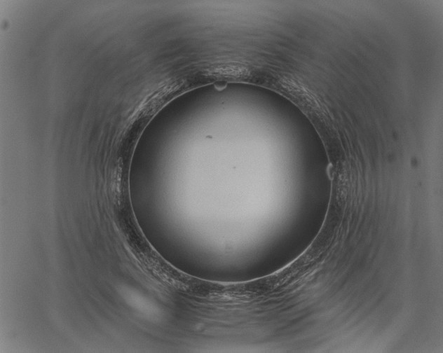 X0000065240739200603031738