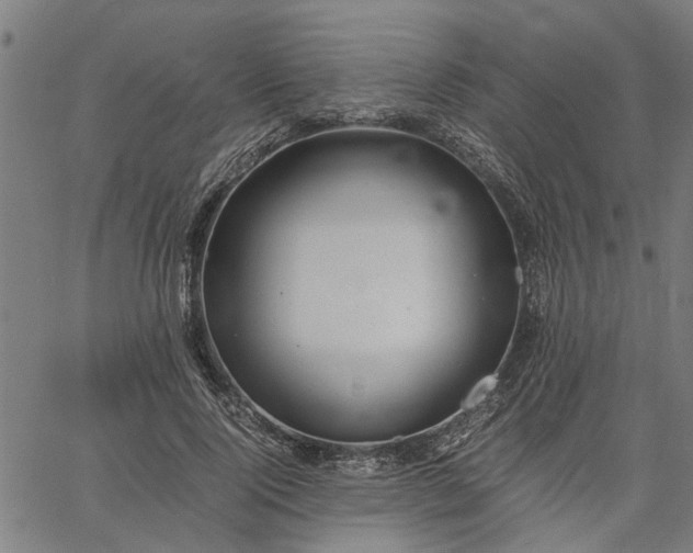 X0000065240740200603031738