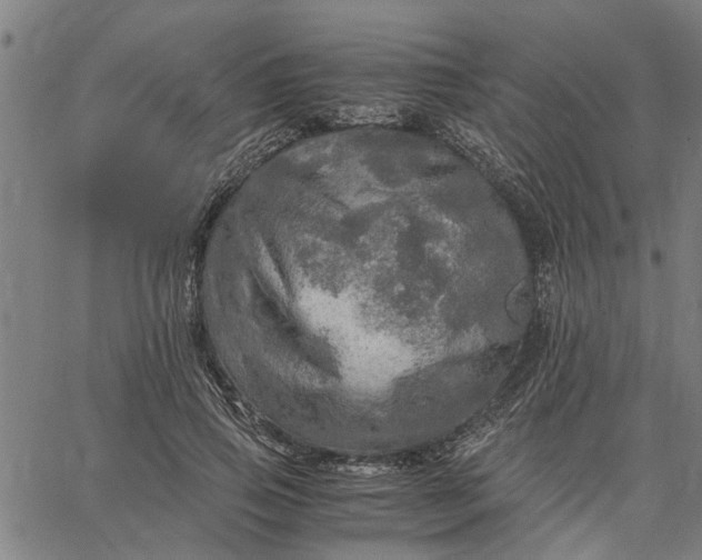 X0000065240741200603031738