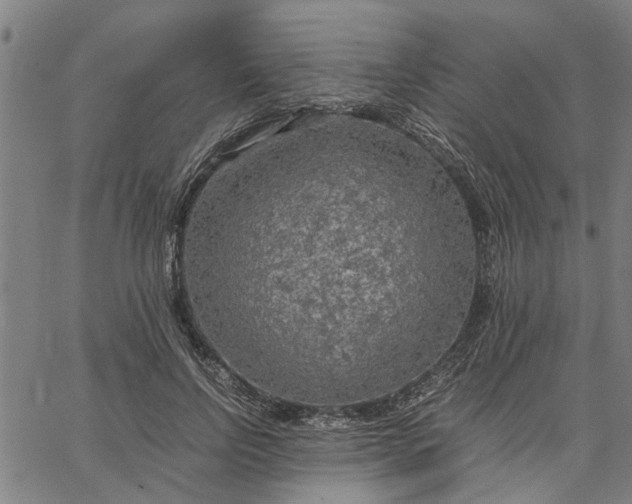 X0000065240742200603031738