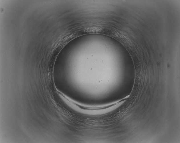 X0000065240743200603031738