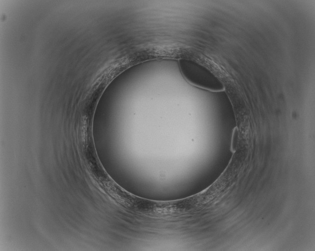 X0000065240744200603031738