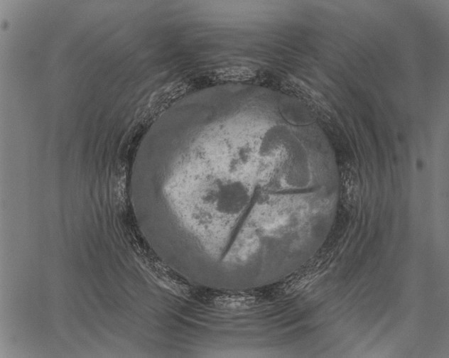 X0000065240745200603031738