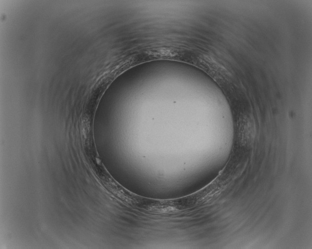 X0000065240747200603031738