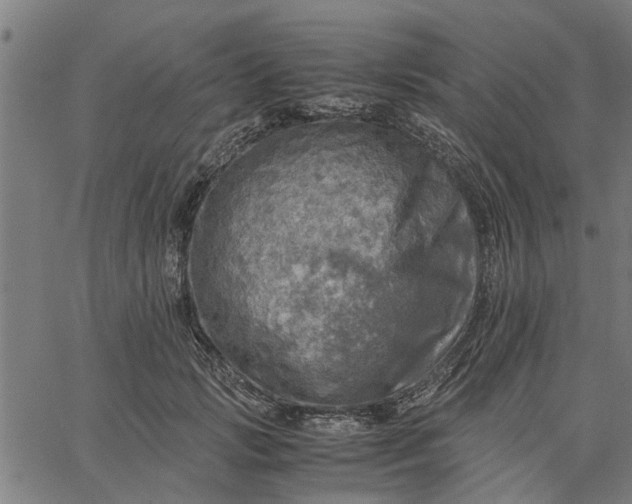 X0000065240749200603031738