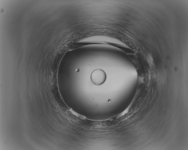 X0000065240750200603031738