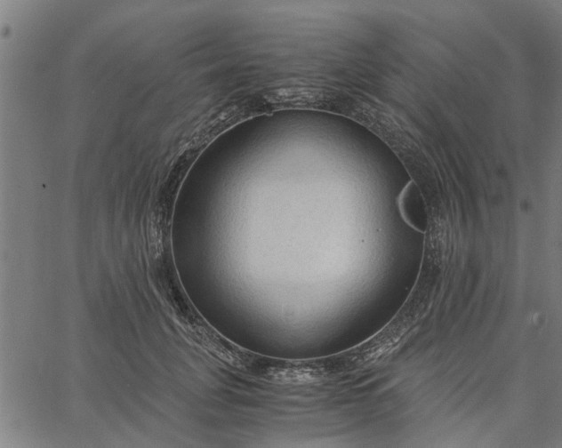 X0000065240751200603031738