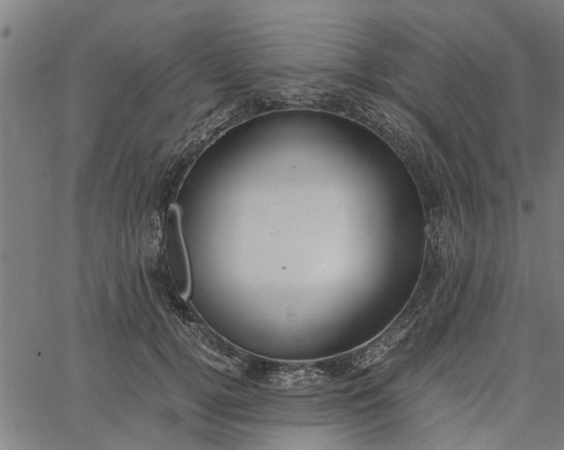 X0000065240752200603031738