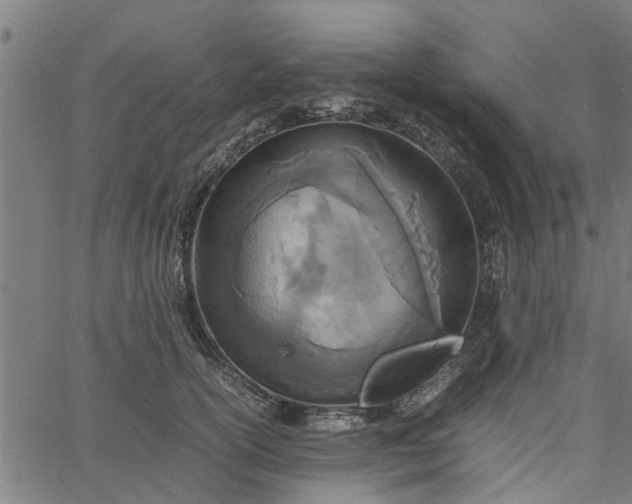 X0000065240754200603031738