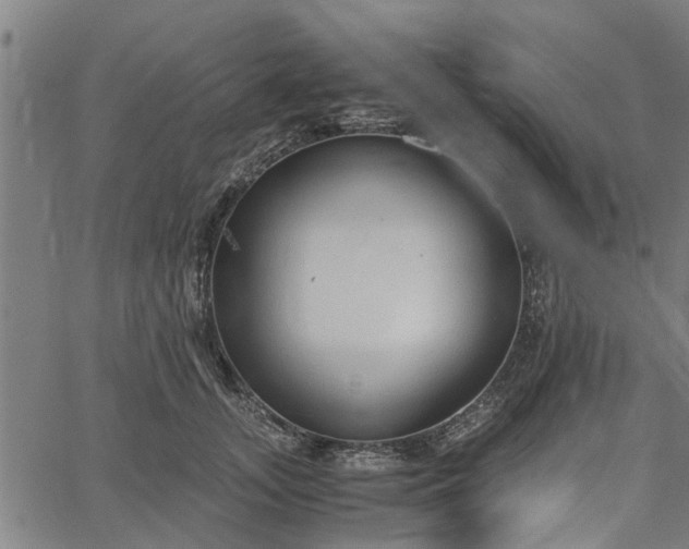 X0000065240755200603031738