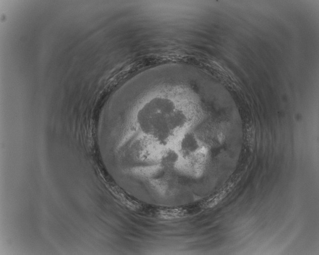 X0000065240757200603031738