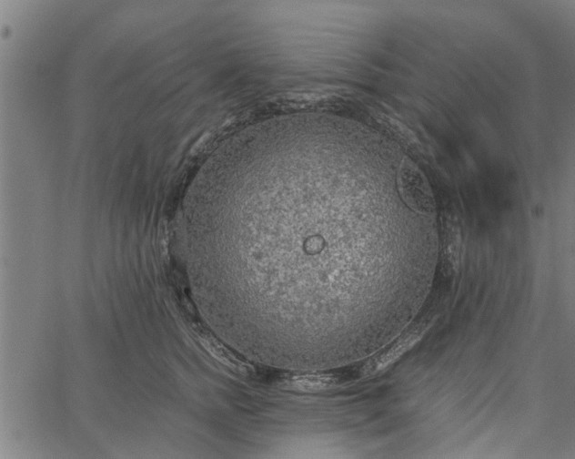 X0000065240758200603031738