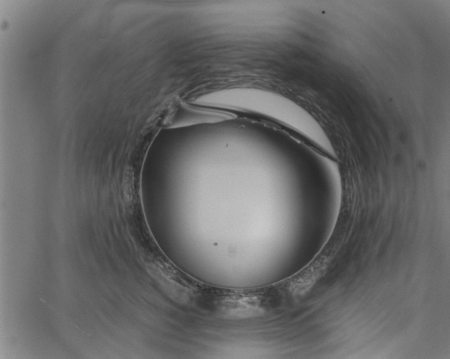 X0000065240760200603031738