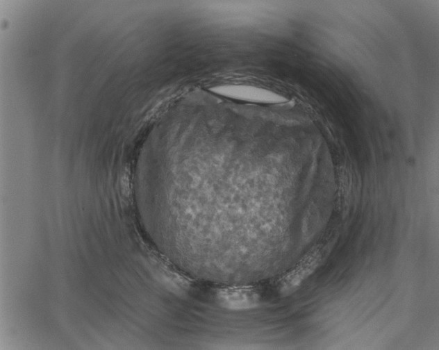 X0000065240761200603031738