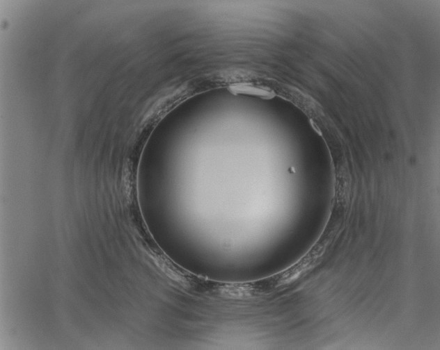 X0000065240762200603031738