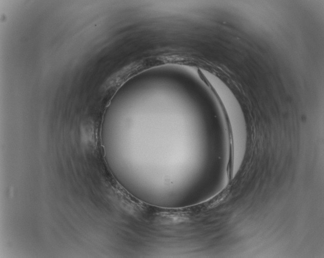 X0000065240763200603031738