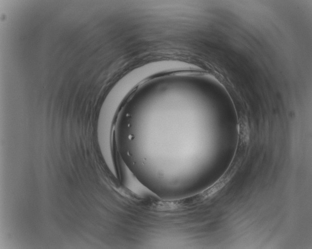 X0000065240766200603031738