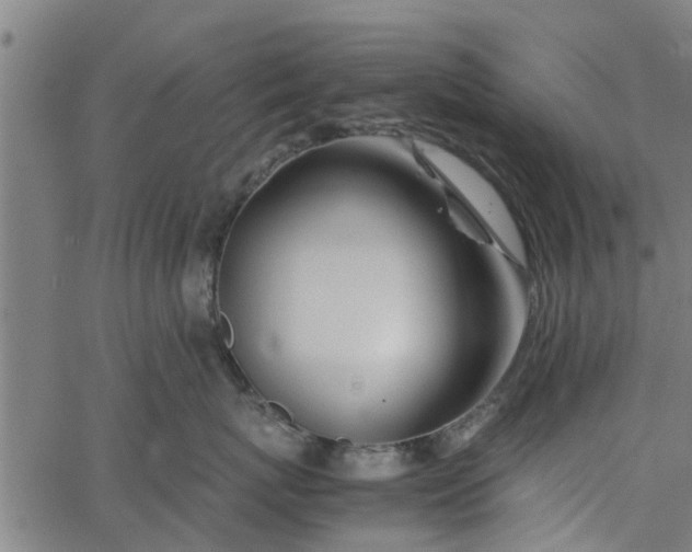 X0000065240767200603031738