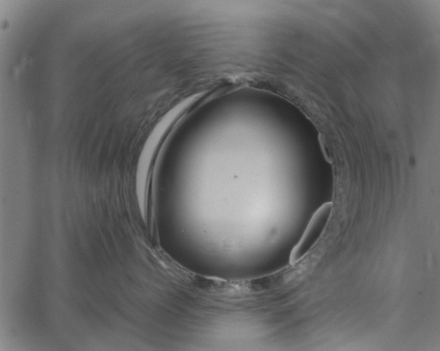 X0000065240768200603031738