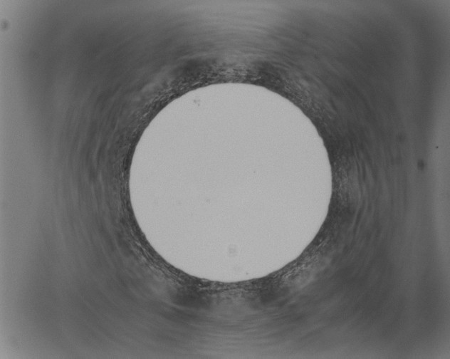 X0000065240769200603031737