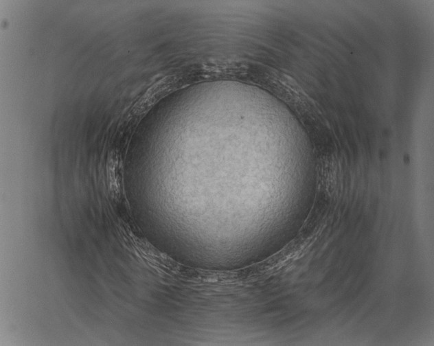 X0000065240770200603031737