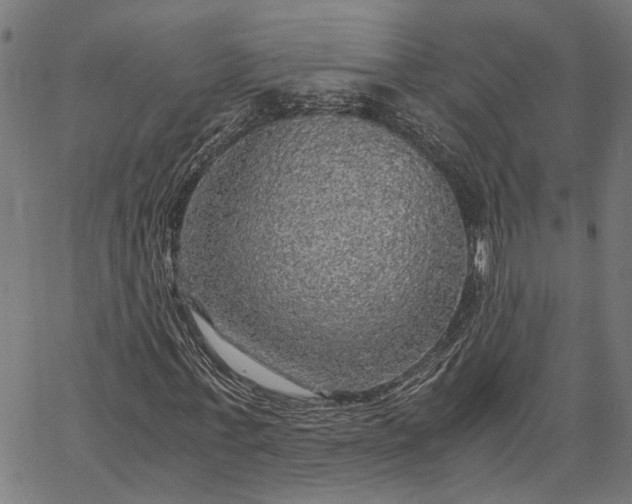 X0000065240771200603031737