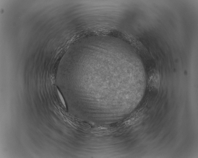 X0000065240772200603031737