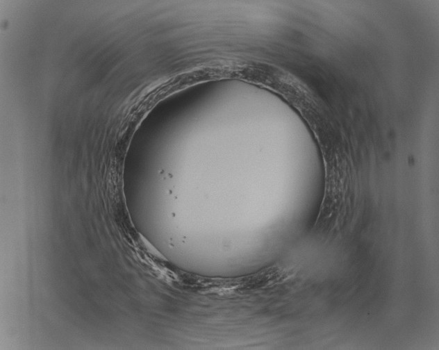 X0000065240773200603031737