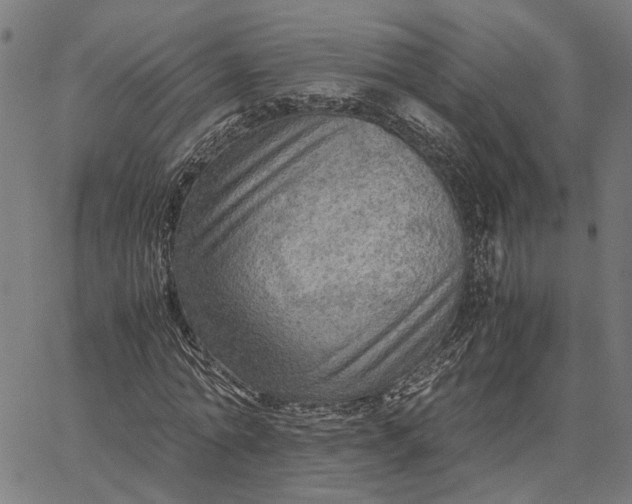 X0000065240774200603031737