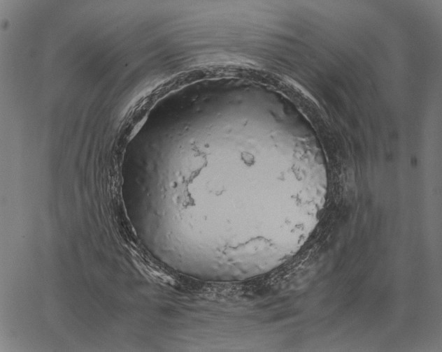 X0000065240775200603031737