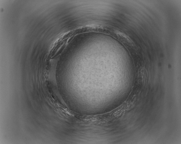 X0000065240776200603031737