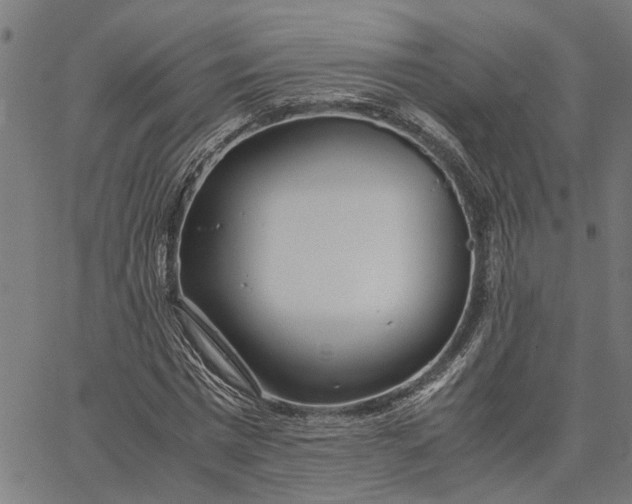 X0000065240777200603031737