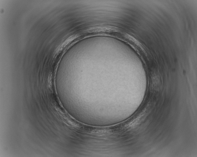 X0000065240778200603031737