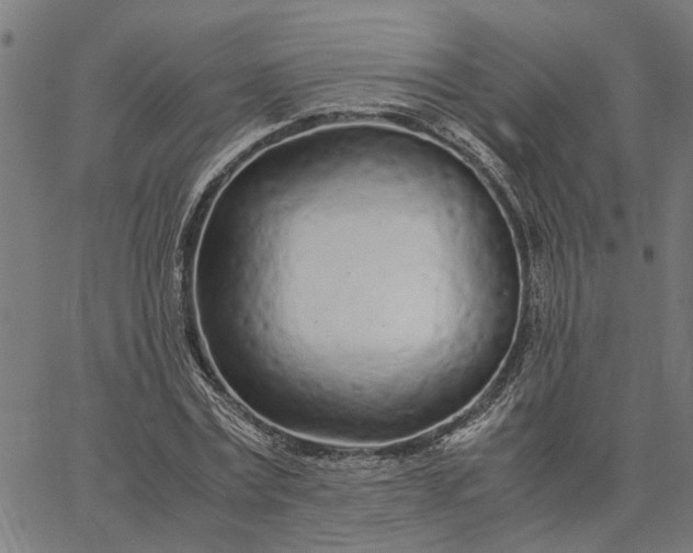 X0000065240779200603031737