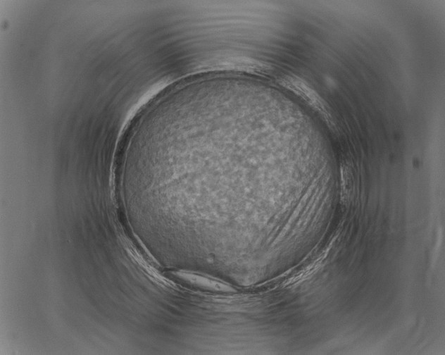 X0000065240780200603031737