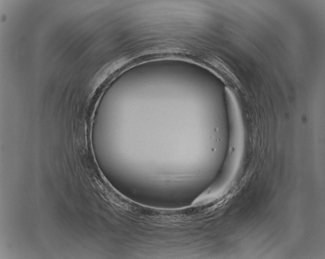 X0000065240781200603031737