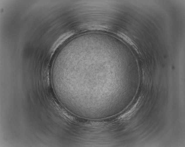 X0000065240782200603031737