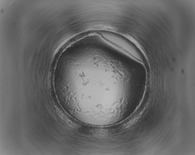 X0000065240783200603031737