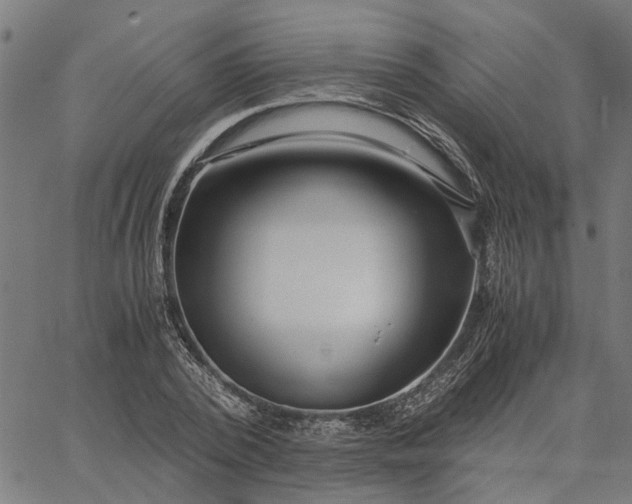 X0000065240784200603031737