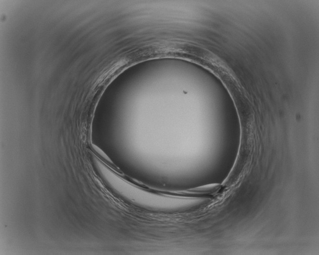 X0000065240785200603031737