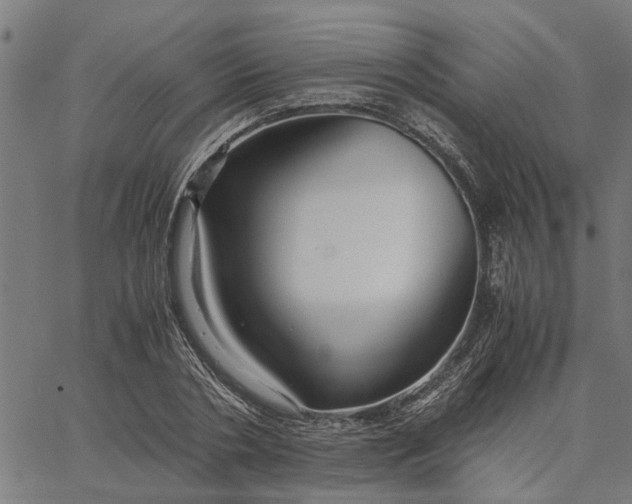 X0000065240786200603031737