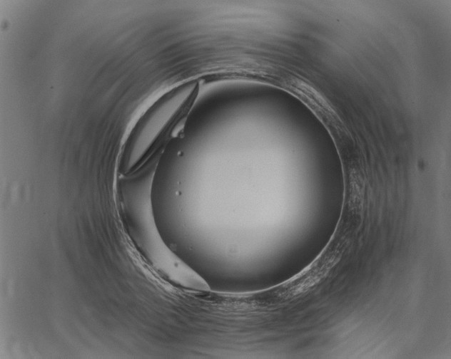 X0000065240788200603031737