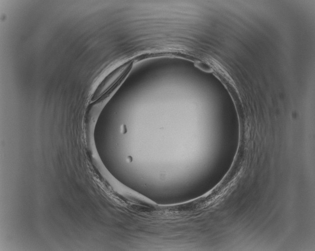 X0000065240789200603031737