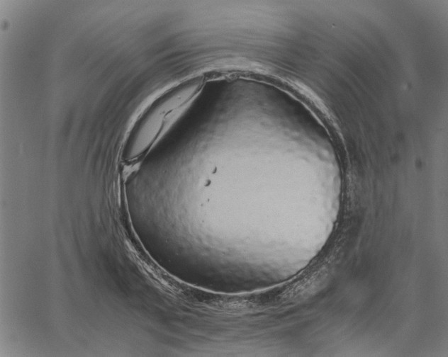 X0000065240791200603031737