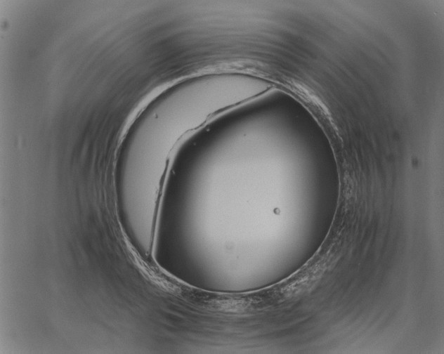 X0000065240792200603031737