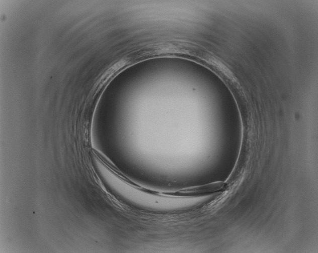 X0000065240793200603031737